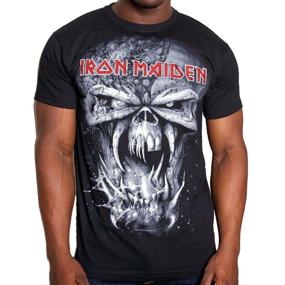 IRON MAIDEN アイアンメイデン (結成 50周年 ) - FINAL FRONTIER EDDIE VINTAGE / Tシャツ / メンズ - PGS